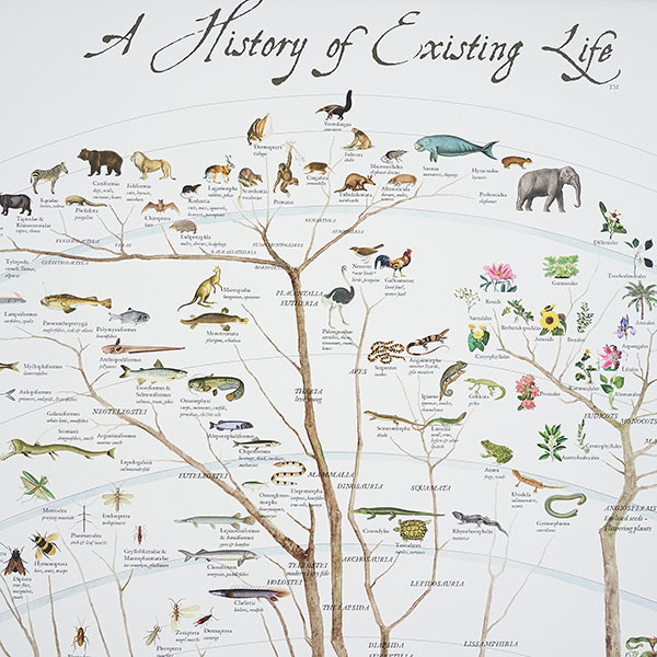 ポスター Tree of Life Poster 61×91.5／Fairhope Graphics（フェア