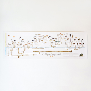 ポスター Tree of Life Poster 30.5×91.5