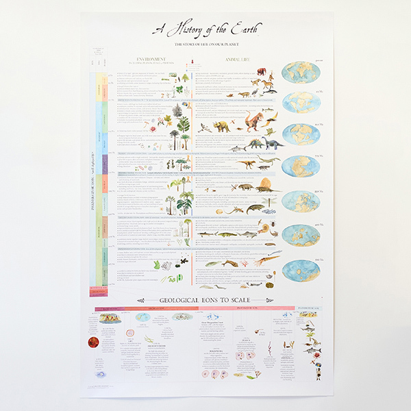 ポスター Tree of Life Poster 61×91.5／Fairhope Graphics（フェア
