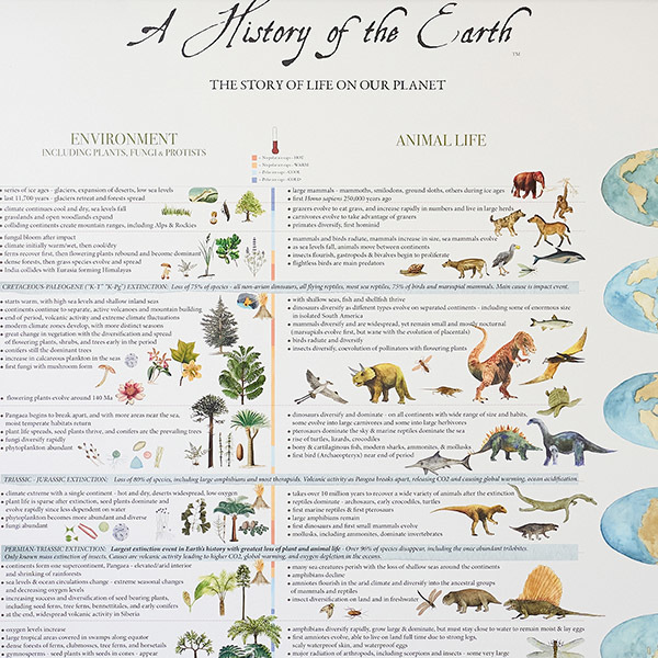 ポスター Tree of Life Poster 61×91.5／Fairhope Graphics（フェア