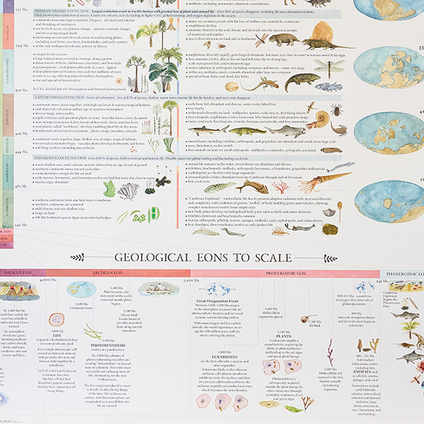 地球の歴史（A History of the Earth）