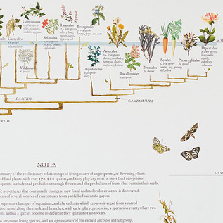 見たことのない植物までその世界を知る大人の学習アート 見たことのない植物までその世界を知る大人の学習アート