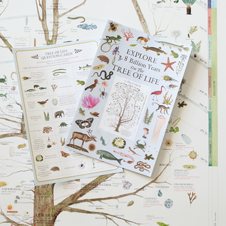 絵画 concept from life 絵画 concept from life Plantimal 3: The Living Machines