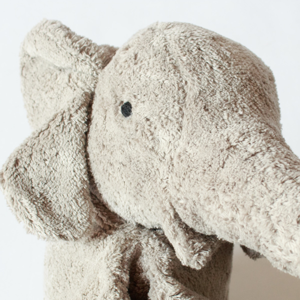 可愛らしいお顔（親）