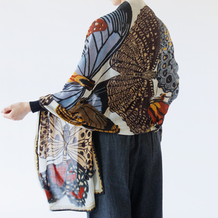 身長160cm(PAPILLONS) 身長160cm(PAPILLONS)