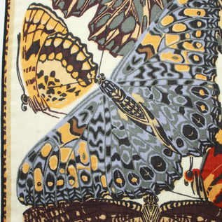 PAPILLONS PAPILLONS
