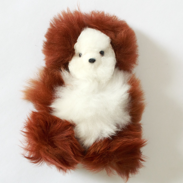 Baby Alpaca Fur Doll（アルパカファードール）	BEAR