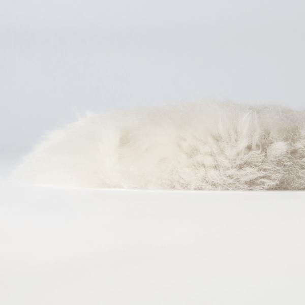 シープスキン ラグ(LUXE IVORY) シープスキン ラグ(LUXE IVORY)