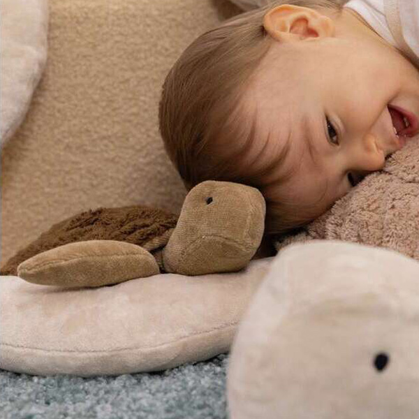 きょとんとした可愛いお顔 きょとんとした可愛いお顔