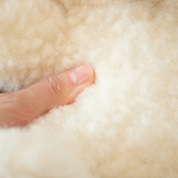 もこもこのウールの手触り(L) もこもこのウールの手触り(L)