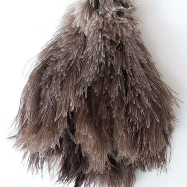 柔らかい毛が埃をやさしくからめとります 柔らかい毛が埃をやさしくからめとります