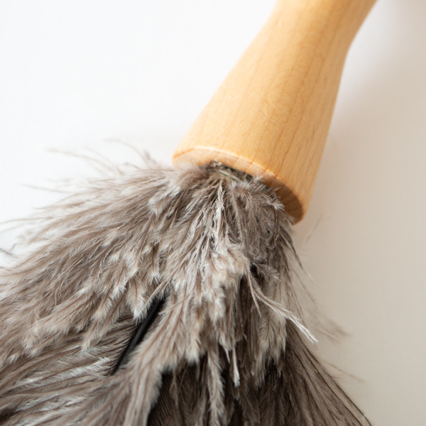 付け根部分 付け根部分