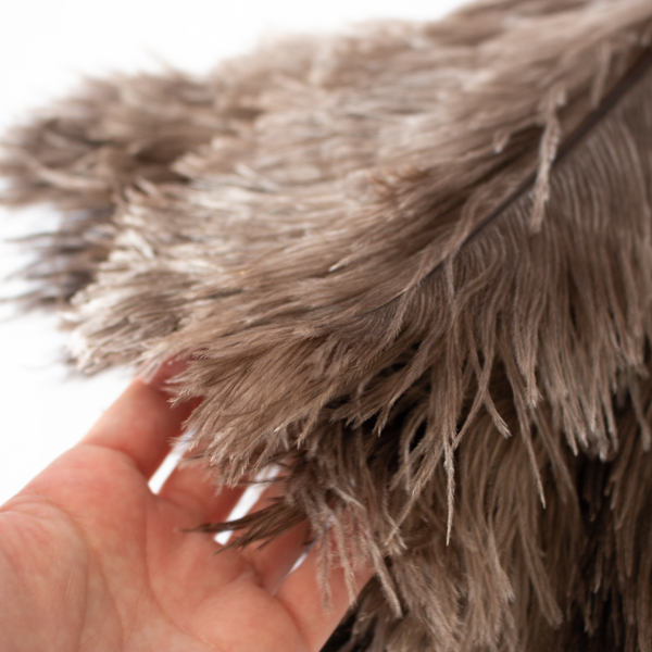 非常に柔らかいダチョウの羽 非常に柔らかいダチョウの羽