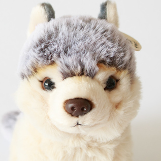 可愛いけれど賢そうな顔立ち（WOLF FLOPPY 15cm）