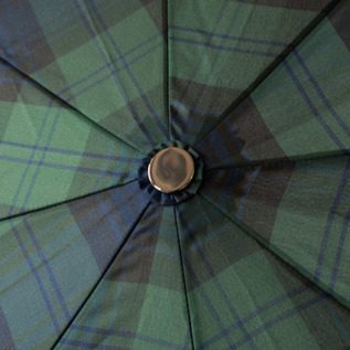 Forest Tartan(寒竹) Forest Tartan(寒竹)