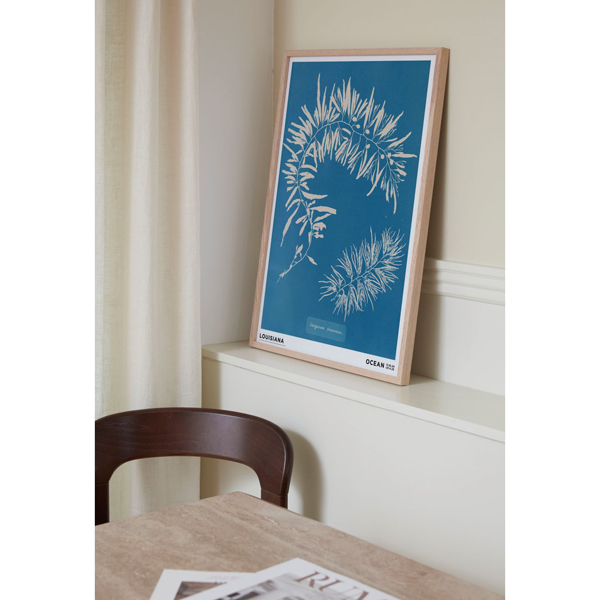 Rhodomenia laciniata/Anna Atkins Rhodomenia laciniata/Anna Atkins