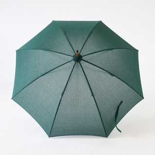 開いた様子（GREEN）