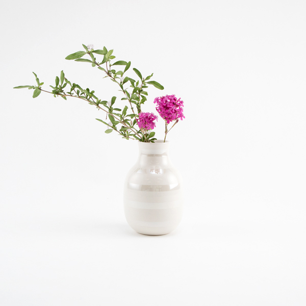 使用イメージ（PEARL）