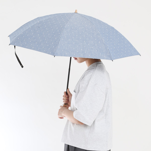 使用イメージ（BLUE）