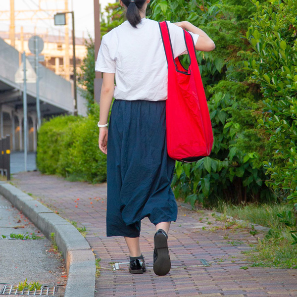 使用イメージ（RED）
